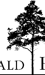 Logo Schiltwald Partners